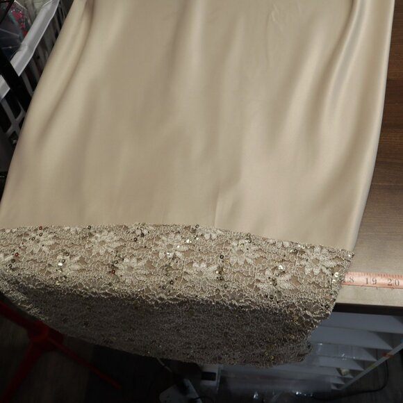 Alex Evenings Lace Sequin Dress Womens 14 Beige Cruise Formal Dance Party Event - Picture 12 of 16